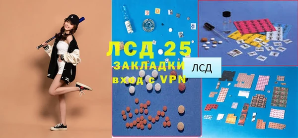 стафф Арсеньев