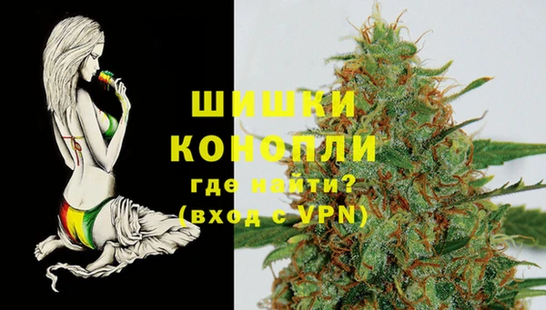 стафф Алзамай