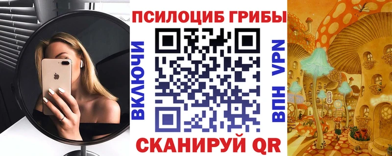 Псилоцибиновые грибы мухоморы  купить  цена  KRAKEN tor  Россошь 